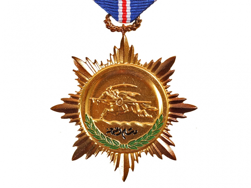 Награда за добро. Орден за храбрость Афганистан. Медаль героя для девочки за смелость. Орден за службу и храбрость за что доы.