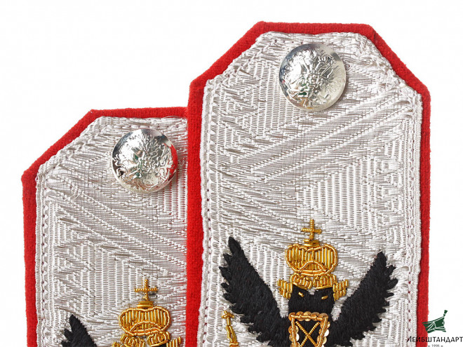 Один из видов Погоны повседневные вице-адмирала флота, состоящего по Адмиралтейству. Россия, копия - Увеличенное изображение