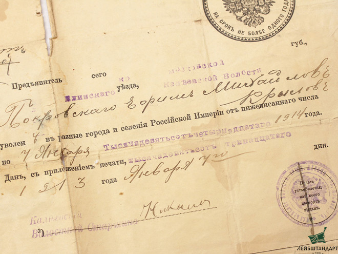 Изображение Паспорт временный сроком на 1 год, Россия - Увеличенное изображение